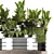 Modern Reception Desk With Plants 3D model small image 4