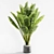 Title: Gorgeous Banana Plant 058 3D model small image 4