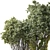 High-Quality Jungle Tree 3D Model 3D model small image 3