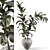 Title: Sleek Rubber Tree Plant 3D model small image 1