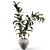 Title: Sleek Rubber Tree Plant 3D model small image 3