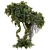 Jungle Tree Plant Separated Parts 3D model small image 1