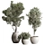 Leafy Green Tree in Pot 3D model small image 1