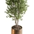 Evergreen Tree in Planter 739 3D model small image 2