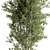Evergreen Tree in Planter 739 3D model small image 3