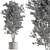 Evergreen Tree in Planter 739 3D model small image 4