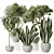 Luxury Indoor Plant Set - 3D Models 3D model small image 1