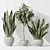 Luxury Indoor Plant Set - 3D Models 3D model small image 5