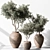 741 Tree in Pot - Indoor Plant 3D model small image 1