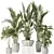 Multifoliage Indoor Plant Set 3D model small image 1