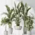 Multifoliage Indoor Plant Set 3D model small image 2