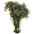 High Quality Jungle Tree Kit 3D model small image 1