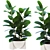 Botanical Collection Set 76 3D model small image 1