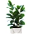 Botanical Collection Set 76 3D model small image 2