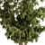 Tree in Pot: Indoor 740 3D model small image 3