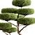 Topiary Ball Plant for Outdoors 3D model small image 2