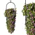  Contemporary Hanging Plant Set 3D model small image 2
