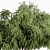 Natural Willow Bush Set 145 3D model small image 2