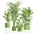 Exotic Indoor Plants Collection Pack 3D model small image 3