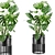 Vibrant Plants Set 3D Model 3D model small image 1