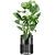 Vibrant Plants Set 3D Model 3D model small image 2