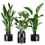 Stylish Plants Set 85 Rendered 3D model small image 2