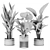Stylish Plants Set 85 Rendered 3D model small image 1