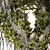 Jungle Tree & Ivy Parts 3D model small image 3