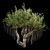 Jungle Tree & Ivy Parts 3D model small image 4