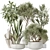 Luxury Indoor Plant Set Collection 3D model small image 1