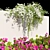 Dual-Colored Bougainvillea Vines 4m 3D model small image 3