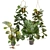 Swiss Cheese Plant Duo: Pendant and Pot 3D model small image 1