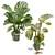 Swiss Cheese Plant Duo: Pendant and Pot 3D model small image 9