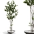  Natural Branches in Glass Vases 3D model small image 1