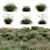 Diverse 3D Plant Models Collection 3D model small image 1