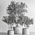 Decorative Tree in Potted Plant 3D model small image 7