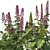 Aconitum Set 1 Variety Kit 3D model small image 3