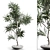 Modern Branches in Elegant Vases 3D model small image 1