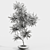 Modern Branches in Elegant Vases 3D model small image 2