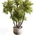  Tree in Pot 748 - Indoor 3D model small image 2