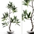 Elegant Branches in Vases 3D model small image 2