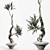 Elegant Tree Branches in Vases 3D model small image 1