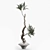 Elegant Tree Branches in Vases 3D model small image 2