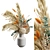 Elegant Pampas Vase Bouquet Display 3D model small image 1