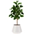 210K Poly 3D Plants Set 3D model small image 2