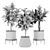 Premium Plant Set 3D Model 3D model small image 2