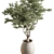 735 Tree in Pot 3D model small image 2