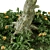 Corona Legacy Outdoor Plant 3D model small image 2