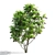 Canadian Serviceberry Berries Collection 3D model small image 3