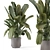 Artisan Stone Pot Indoor Plants 3D model small image 1